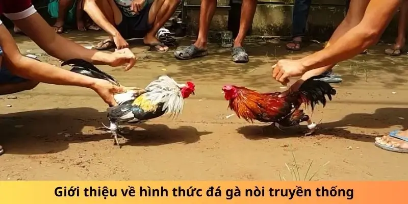 Các Loại Cược Trong Đá Gà Nòi